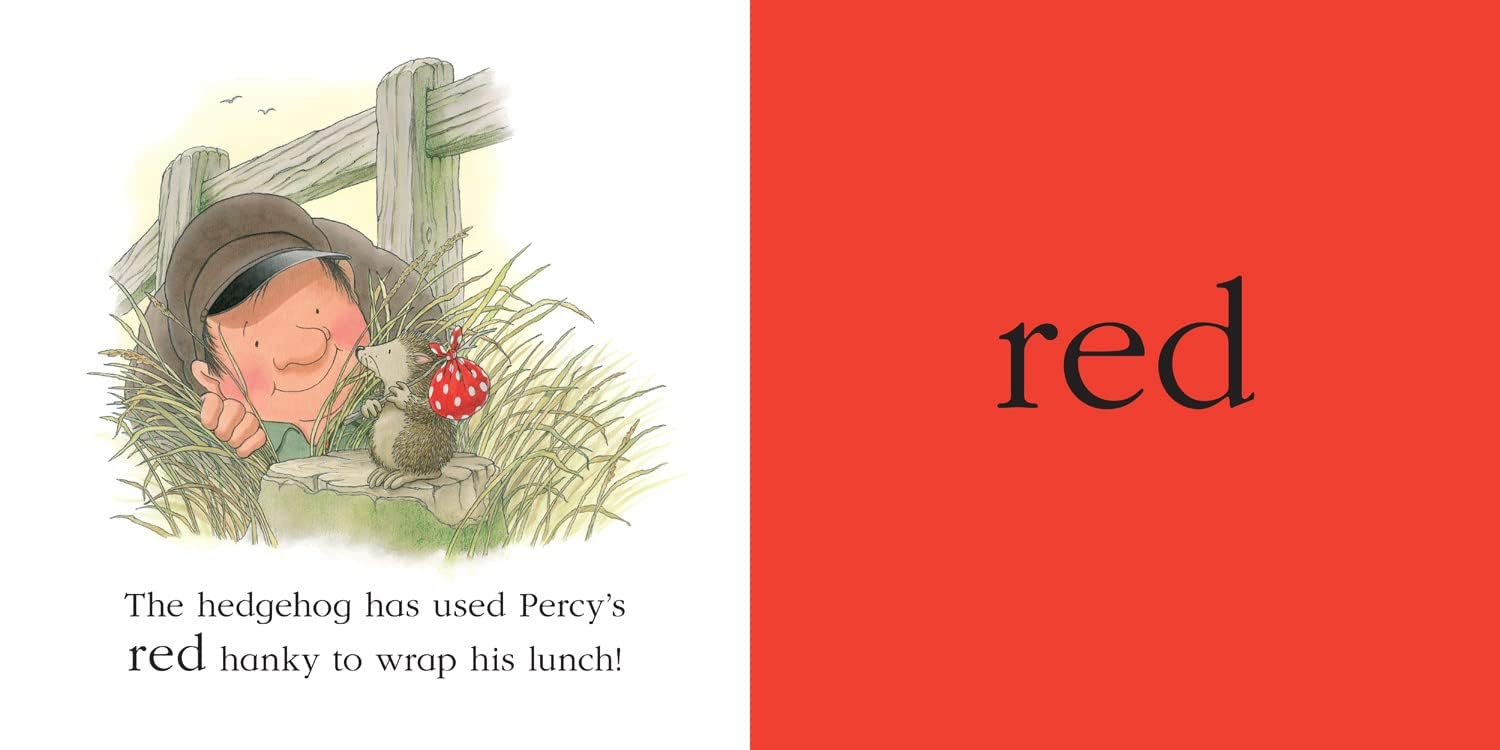 Percy the Park Keeper Early Learning 4 Book Set - ABC, 123, Colours, Opposites - inside illustrated pages for toddlers