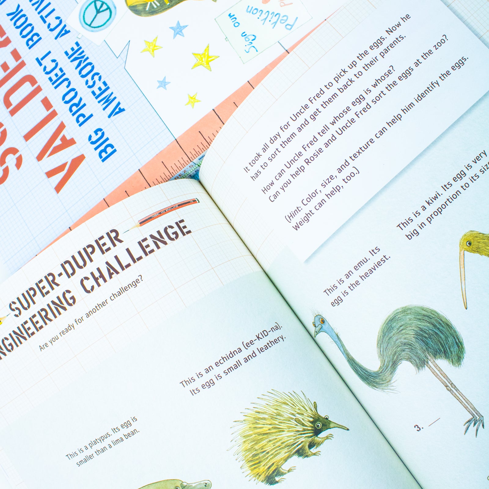 Questioneers Chapter Book Collection close-up cover art - Andrea Beaty and David Roberts