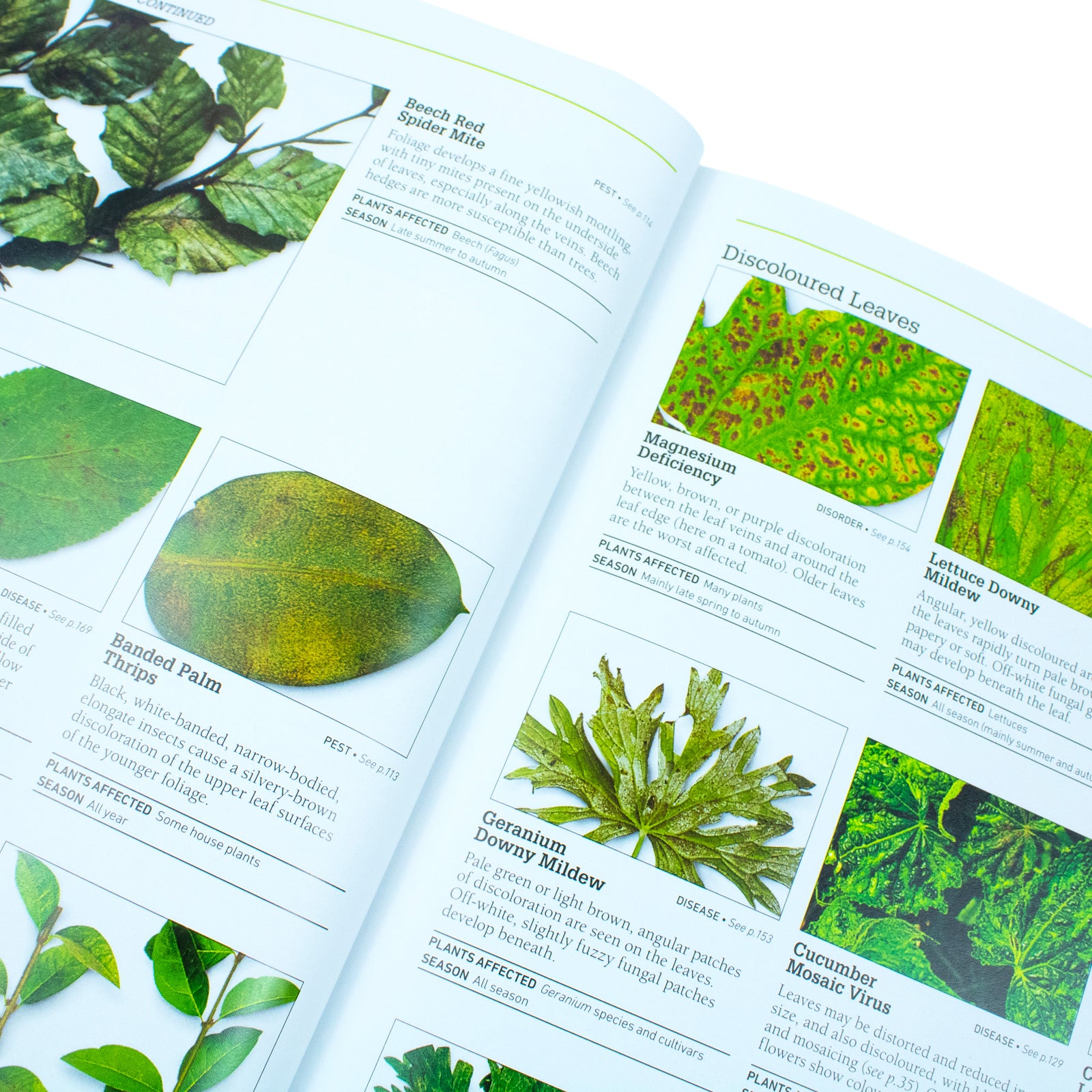 RHS Pests & Diseases New Edition A-Z remedy directory pages, hardback RHS gardening guide