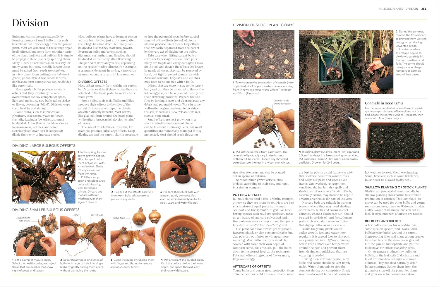 RHS Propagating Plants by DK hardback - detail image of gardening propagation techniques