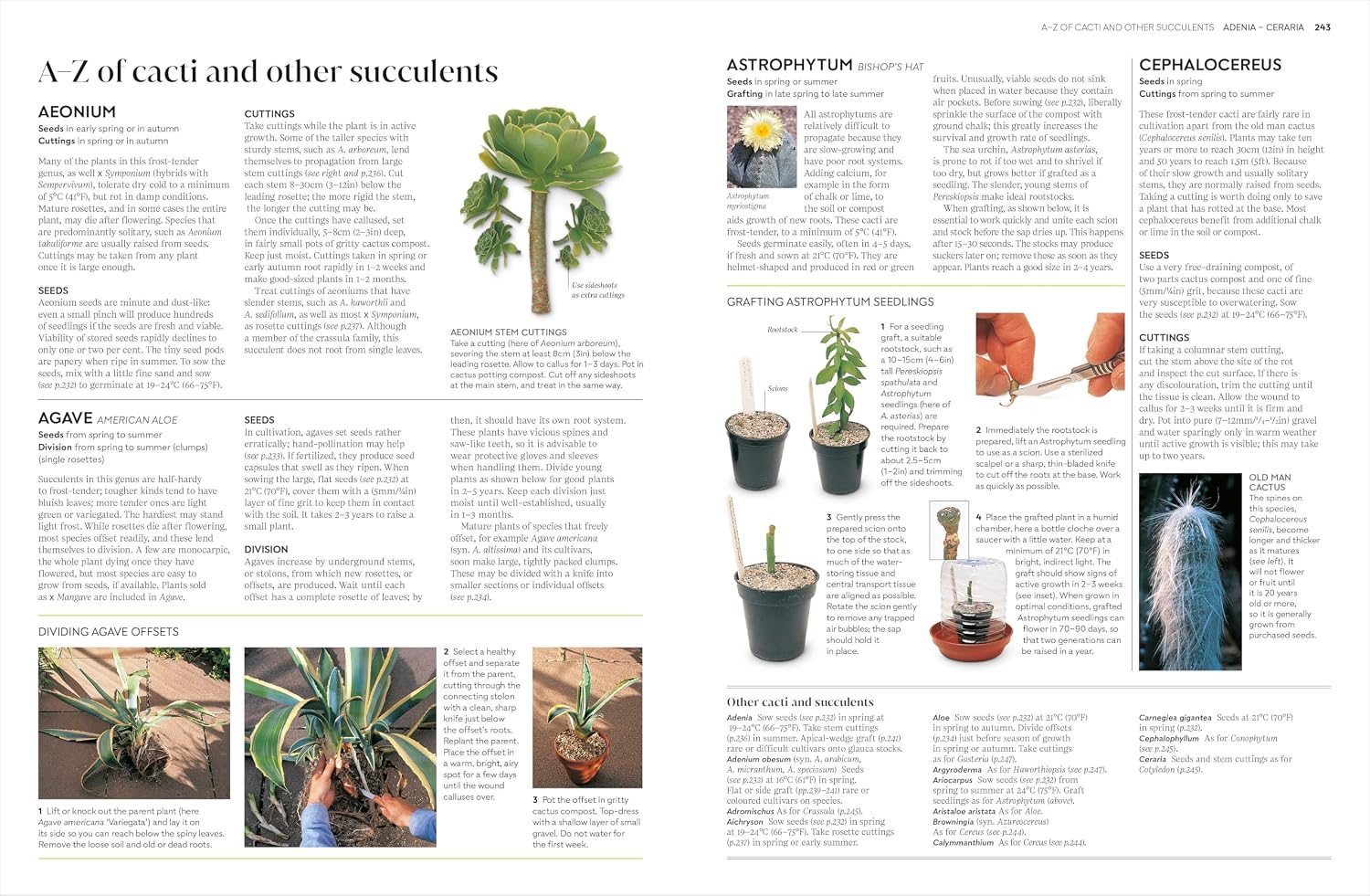 RHS Propagating Plants by DK hardback - sample page showing plant-by-plant A-Z propagation dictionary