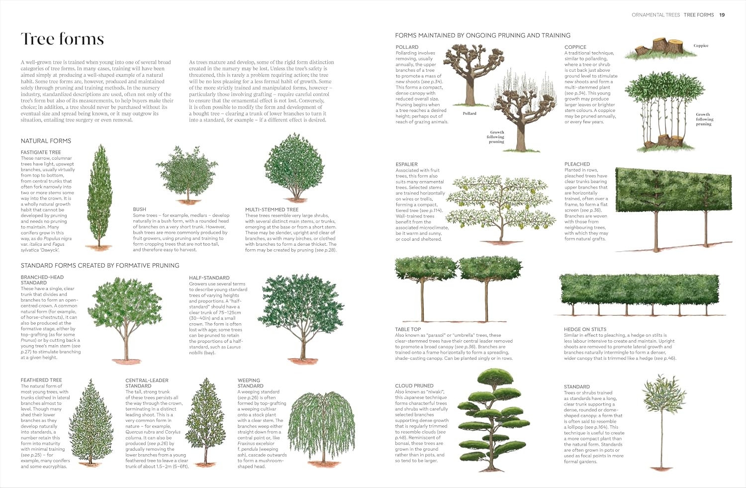 RHS Pruning and Training page demonstrating tree and shrub pruning steps