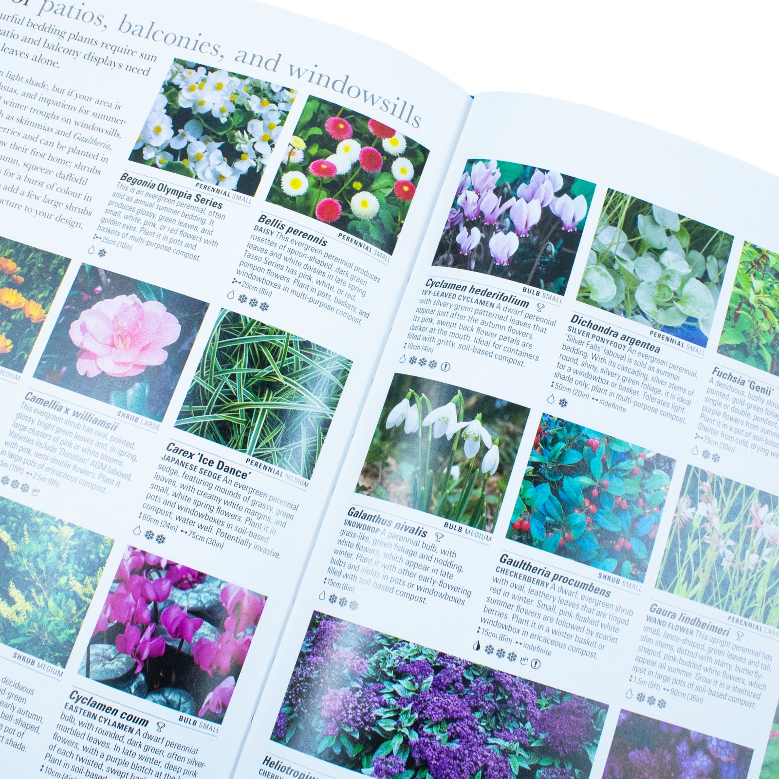 RHS What Plant Where Encyclopedia hardback plant guide book back cover