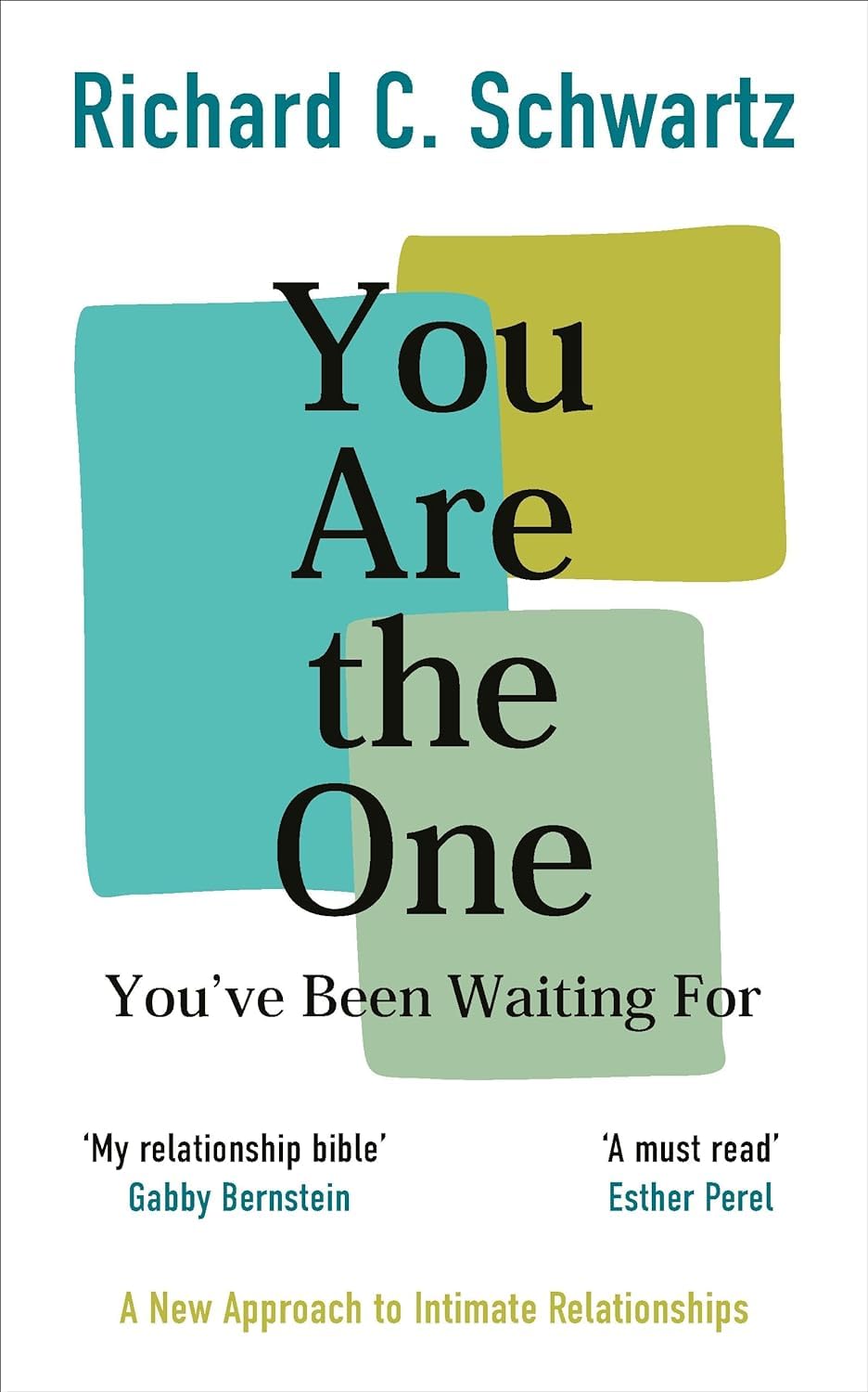 You Are the One You've Been Waiting For by Richard Schwartz - Paperback book cover