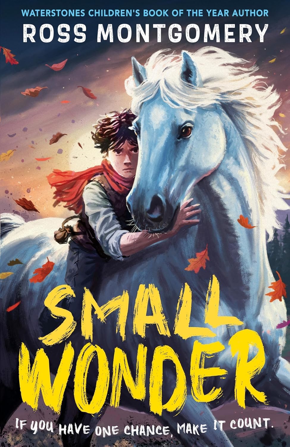 Display of Ross Montgomery 5 Books Collection Set paperback covers, The Midnight Guardians, The Chime Seekers, Spellstone, I Am Rebel and Small Wonder