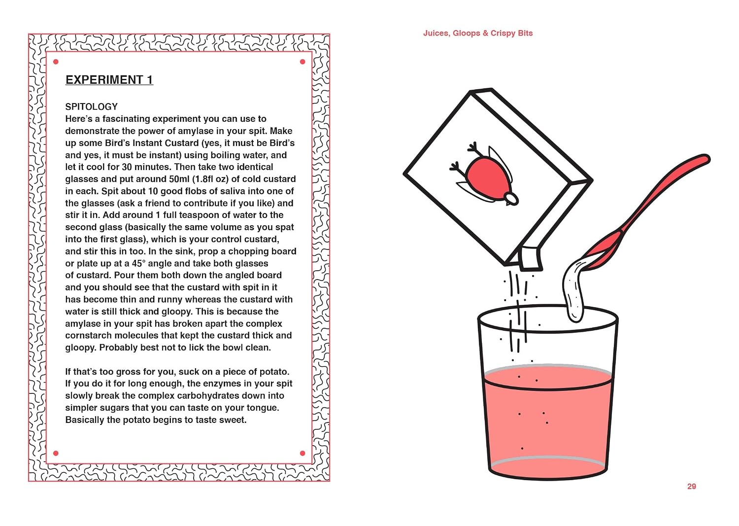 Rude Science by Stefan Gates interior page showing colourful science diagrams