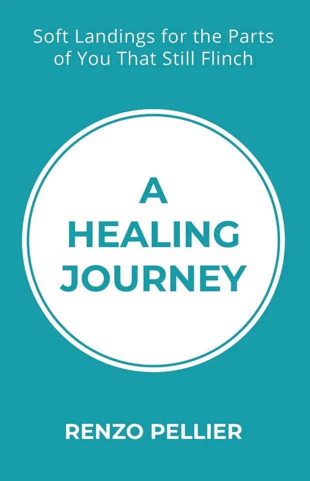 A Healing Journey: Soft Landings for the Parts of You That Still Flinch by Renzo Pellier - Non Fiction - Paperback - Lets Buy Books