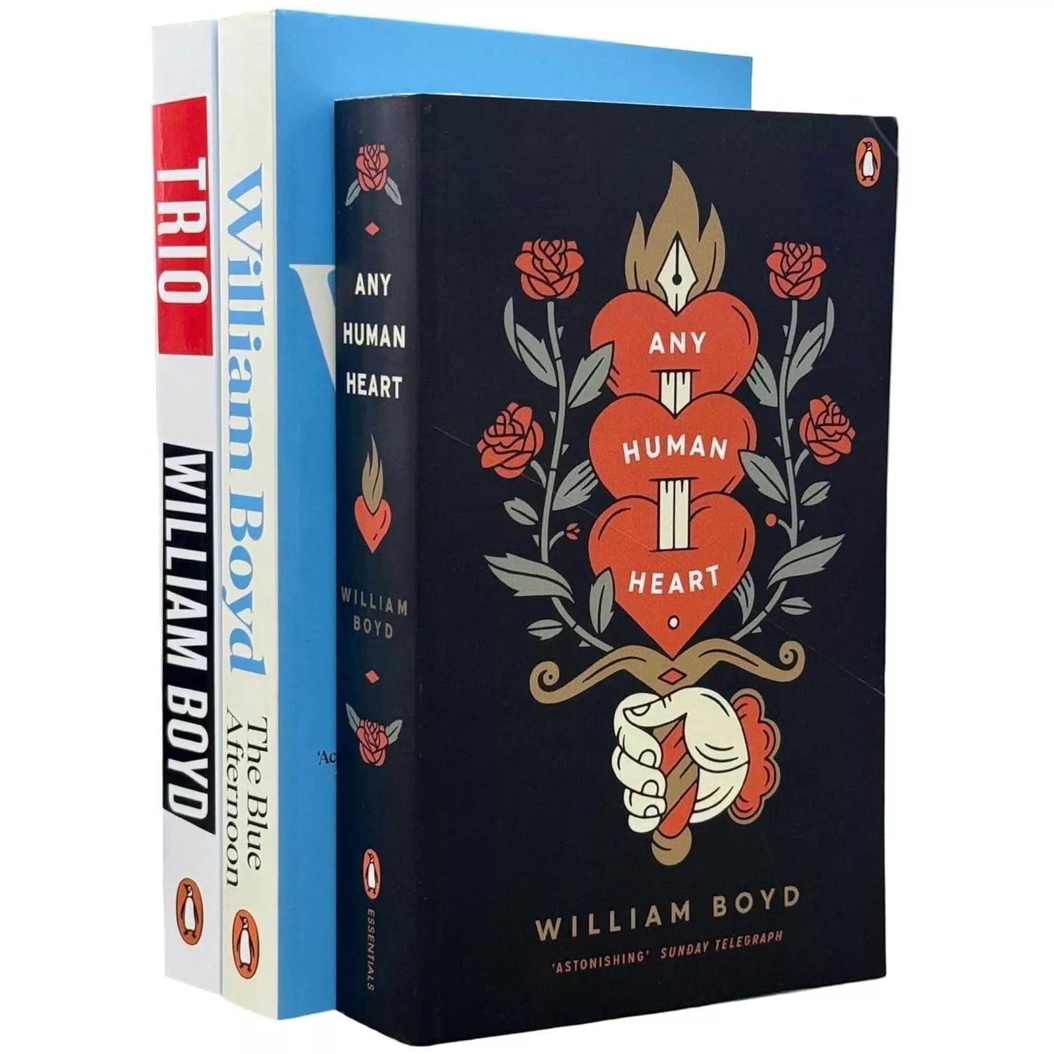 William Boyd Collection 3 Books Set (Any Human Heart, Blue Afternoon, Trio) - Lets Buy Books