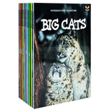 Children Introduction to Nature for Beginners 10 Books Collection Set (Bears, Big Cats, Birds)