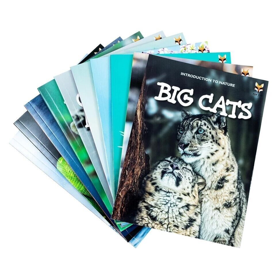 Children Introduction to Nature for Beginners 10 Books Collection Set (Bears, Big Cats, Birds) - Lets Buy Books