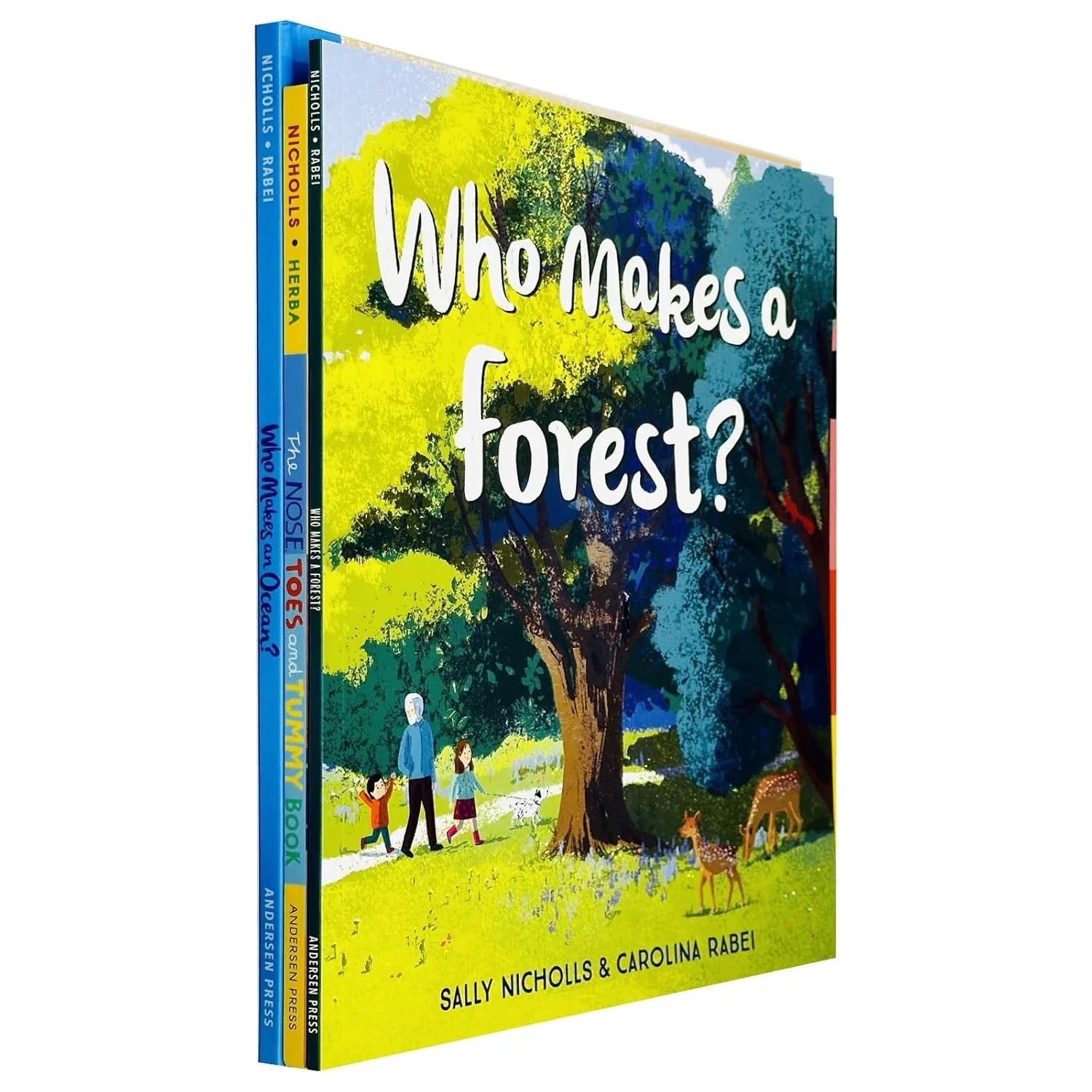 Sally Nicholls Collection 3 Books Paperback Set - Who Makes a Forest, Who Makes an Ocean, The Nose Toes and Tummy Book - Ages 3-7
