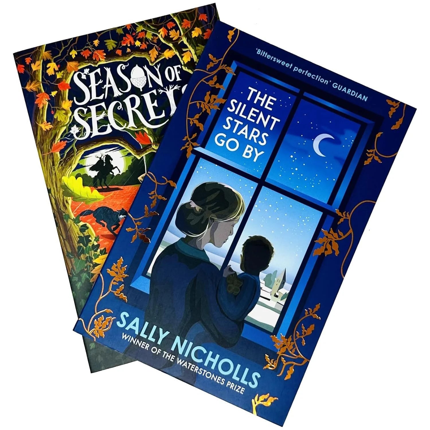 Sally Nicholls Young Adult Paperback Book Set - Season of Secrets and The Silent Stars Go By Close Up