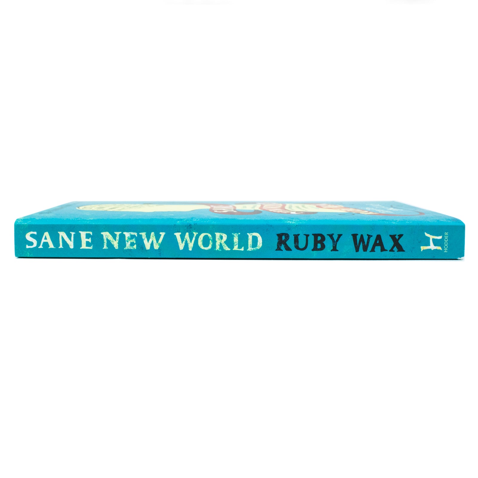 Sane New World: Taming the Mind by Ruby Wax - New Paperback mindfulness and mental health self-help book