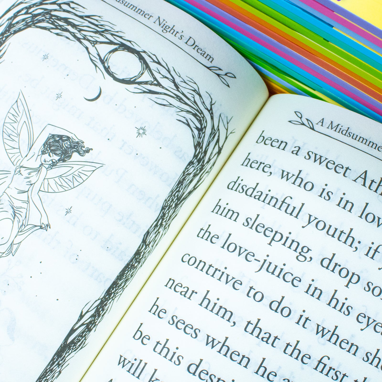 Shakespeare's Stories for Young Readers 20 book paperback set displayed as a gift-ready collection