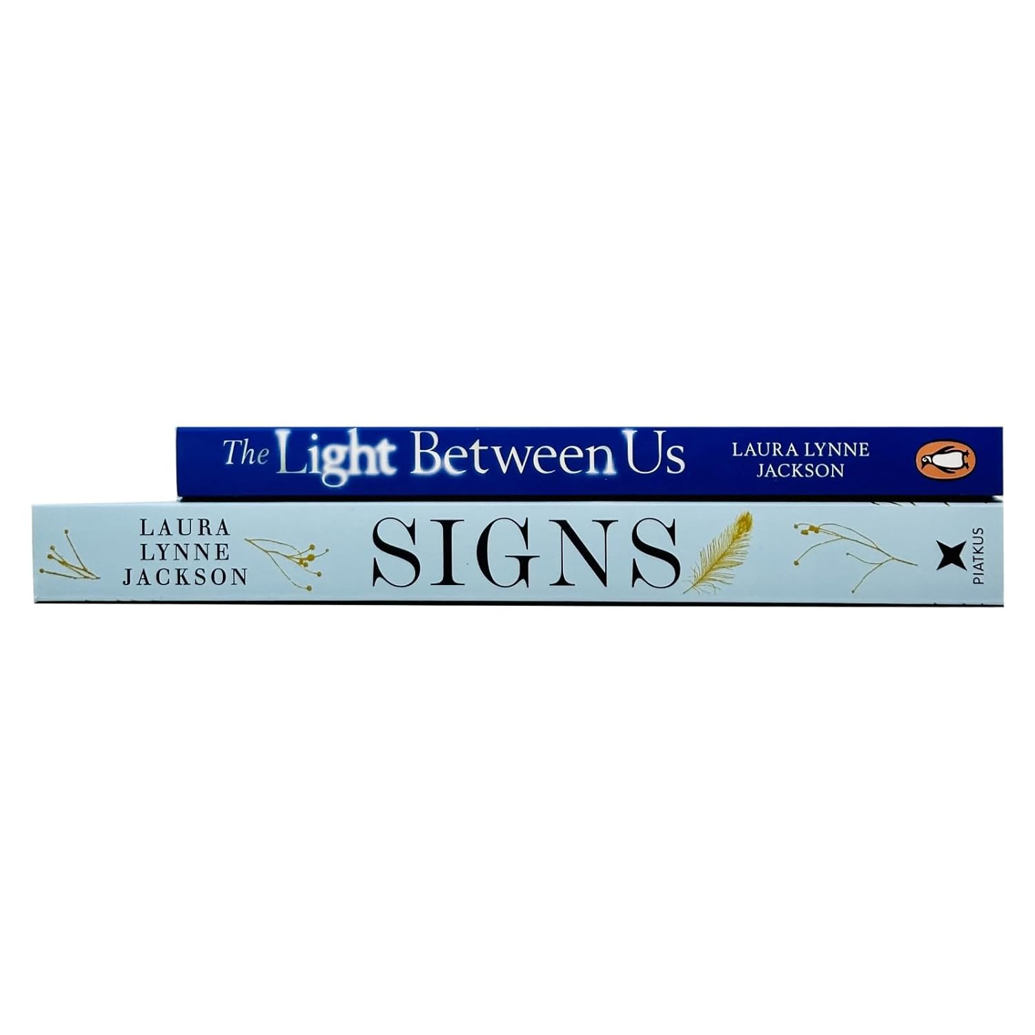 Signs by Laura Lynne Jackson paperback - psychic medium spirituality book