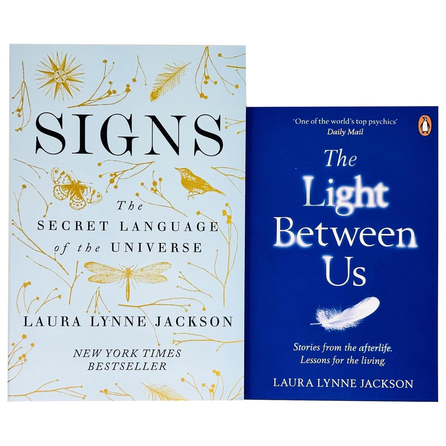 The Light Between Us by Laura Lynne Jackson paperback - New York Times bestseller