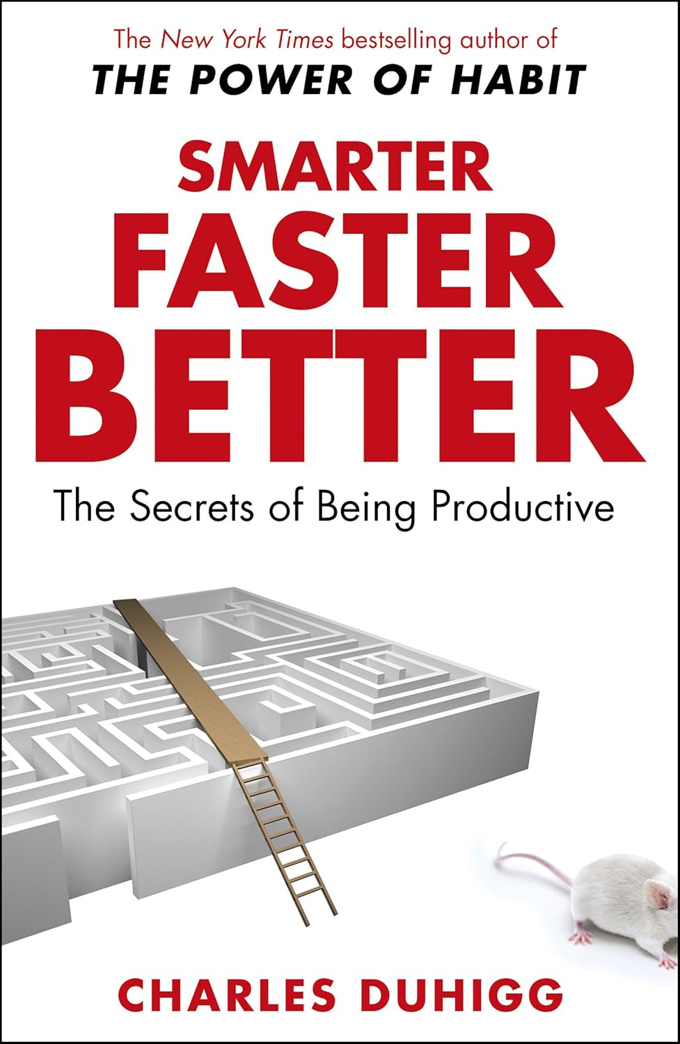 Smarter Faster Better by Charles Duhigg - The Secrets of Being Productive - Paperback front cover