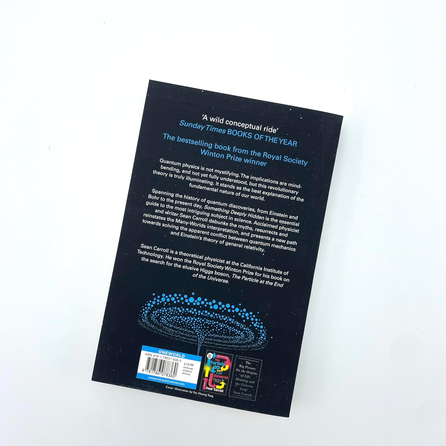 Something Deeply Hidden by Sean Carroll - paperback inside pages showing quantum physics content