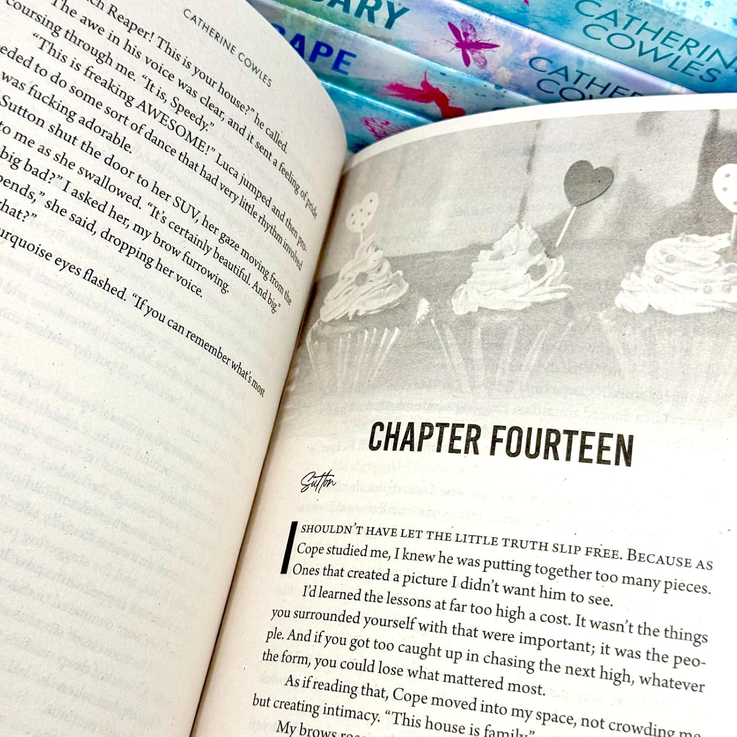 Chasing Shelter paperback cover and full Sparrow Falls 5 book collection set by Catherine Cowles