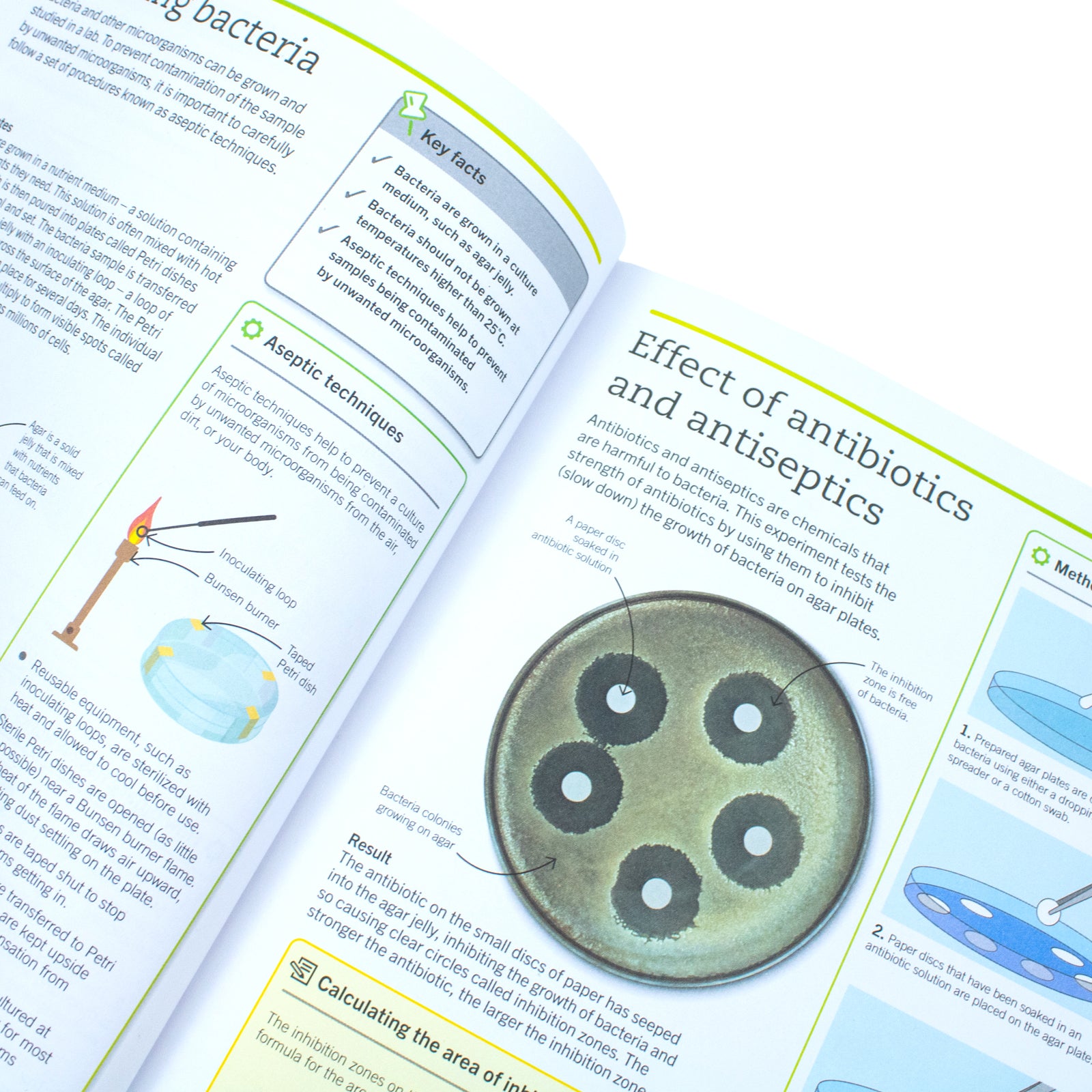 Super Simple Biology by DK - back cover of paperback study guide with ISBN 9780241390467
