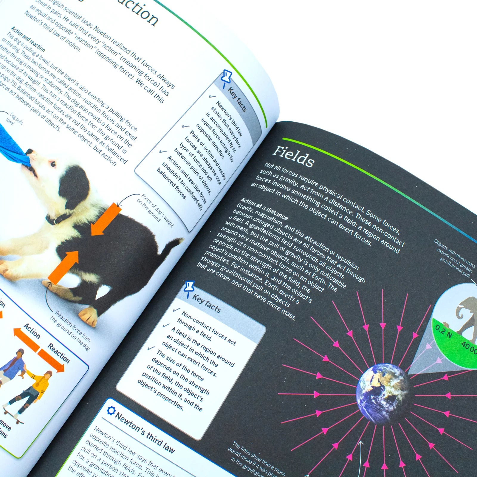 Super Simple Physics: The Ultimate Bitesize Study Guide by DK - back cover, paperback study guide for ages 9-12