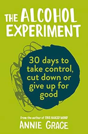 The Alcohol Experiment by Annie Grace - 30 Day Self-Help Paperback - Sobriety and Habit Change Guide