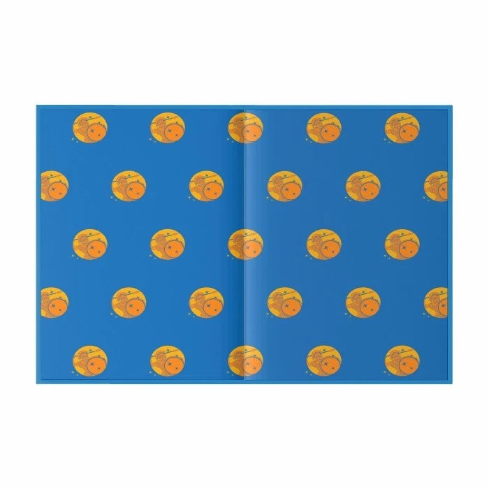 The Iliad by Homer, Wilco Classics sprayed edge premium hardback edition, back cover
