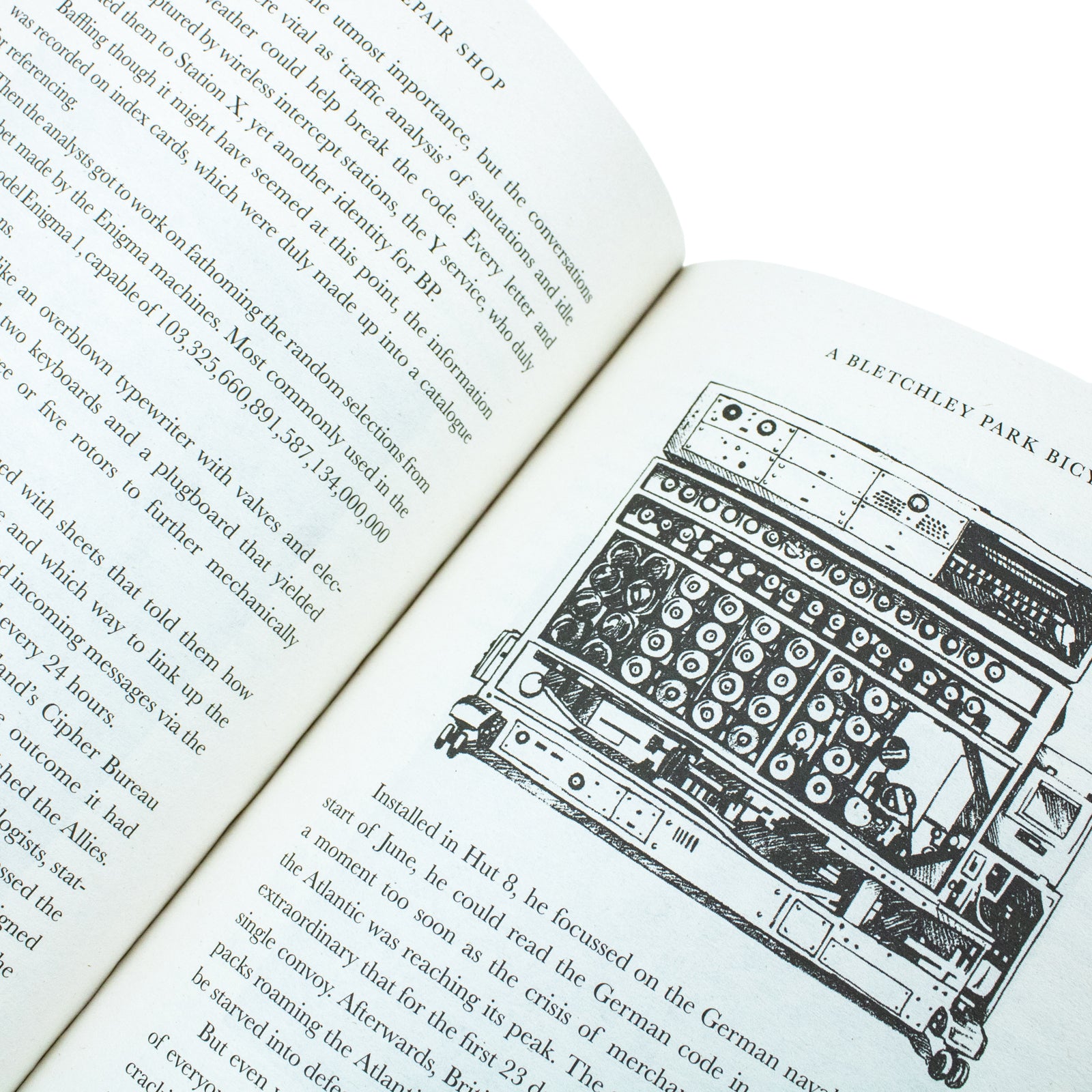 The Repair Shop: Tales from the Workshop of Dreams by Karen Farrington - book spine and cover detail