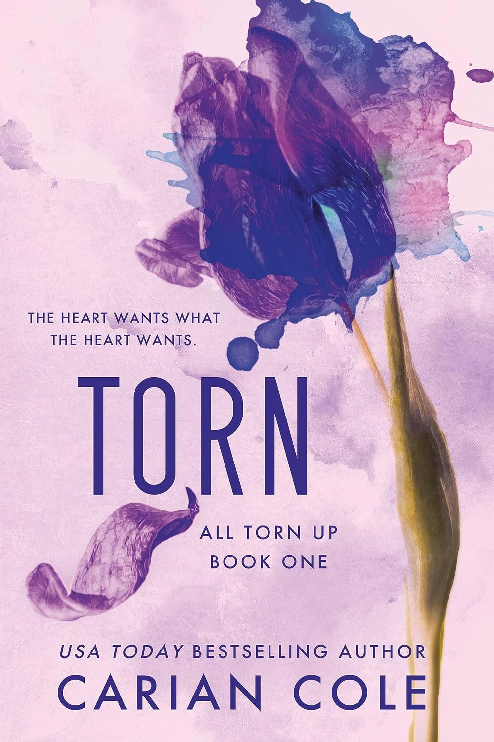 Torn by Carian Cole - All Torn Up Book 1 - dark age-gap romance paperback book cover