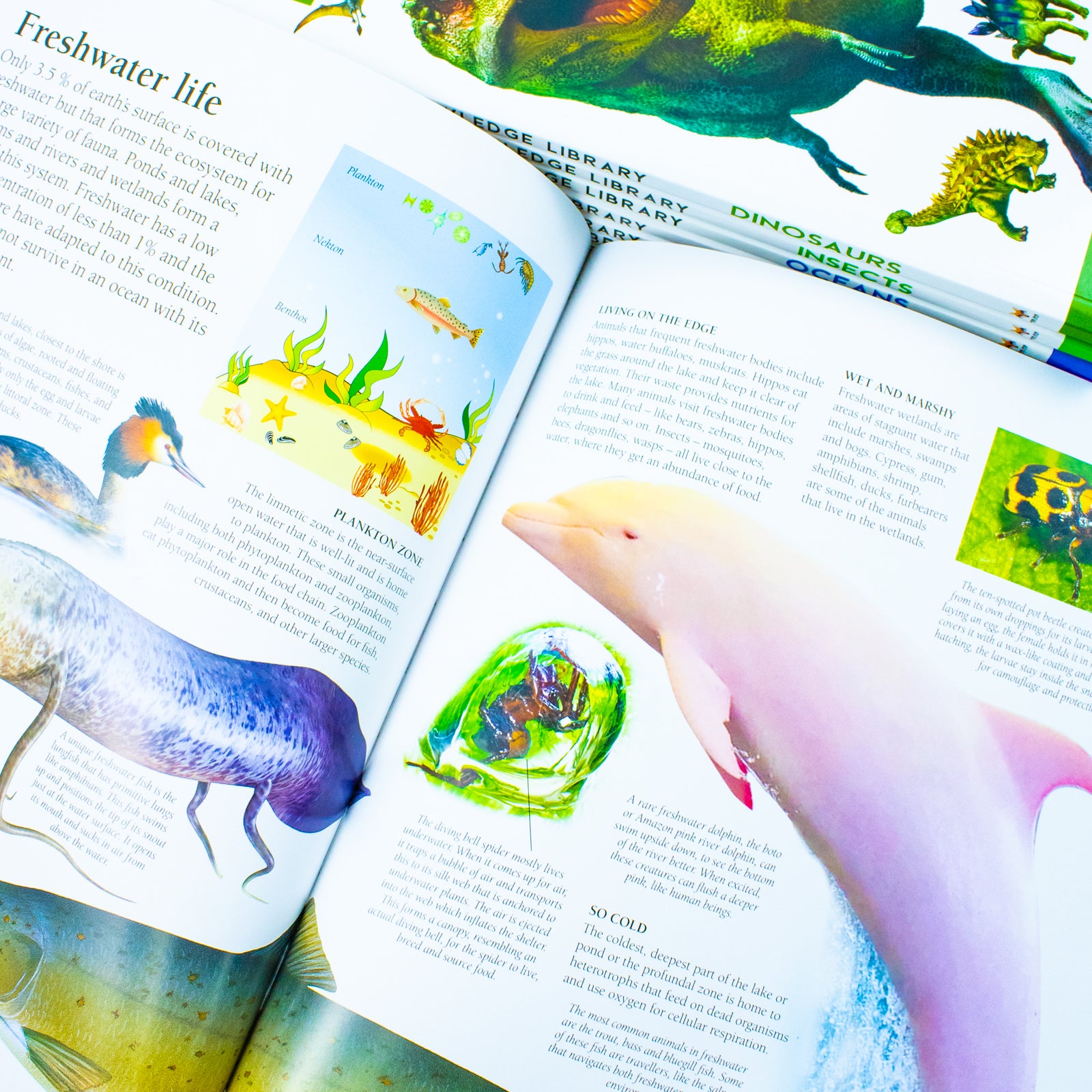 Universal Knowledge Library Animals and Nature 8 book paperback set stacked together