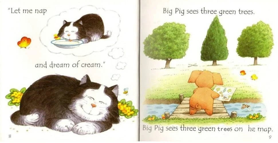 Usborne Phonics Readers set illustrated by Stephen Cartwright - Goose on the Loose, Fox on a Box, Shark in the Park