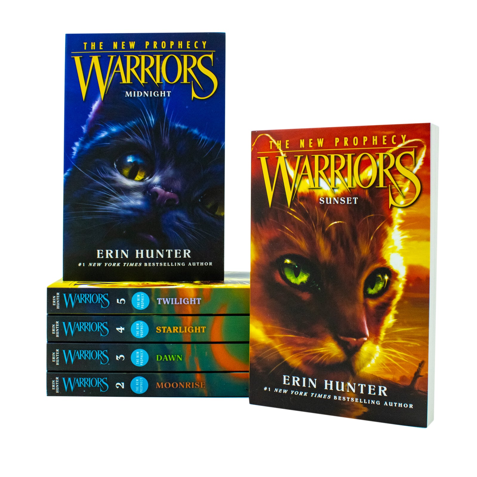 Warrior Cats Series 2 The New Prophecy 6 Book Paperback Set by Erin Hunter - Book Covers