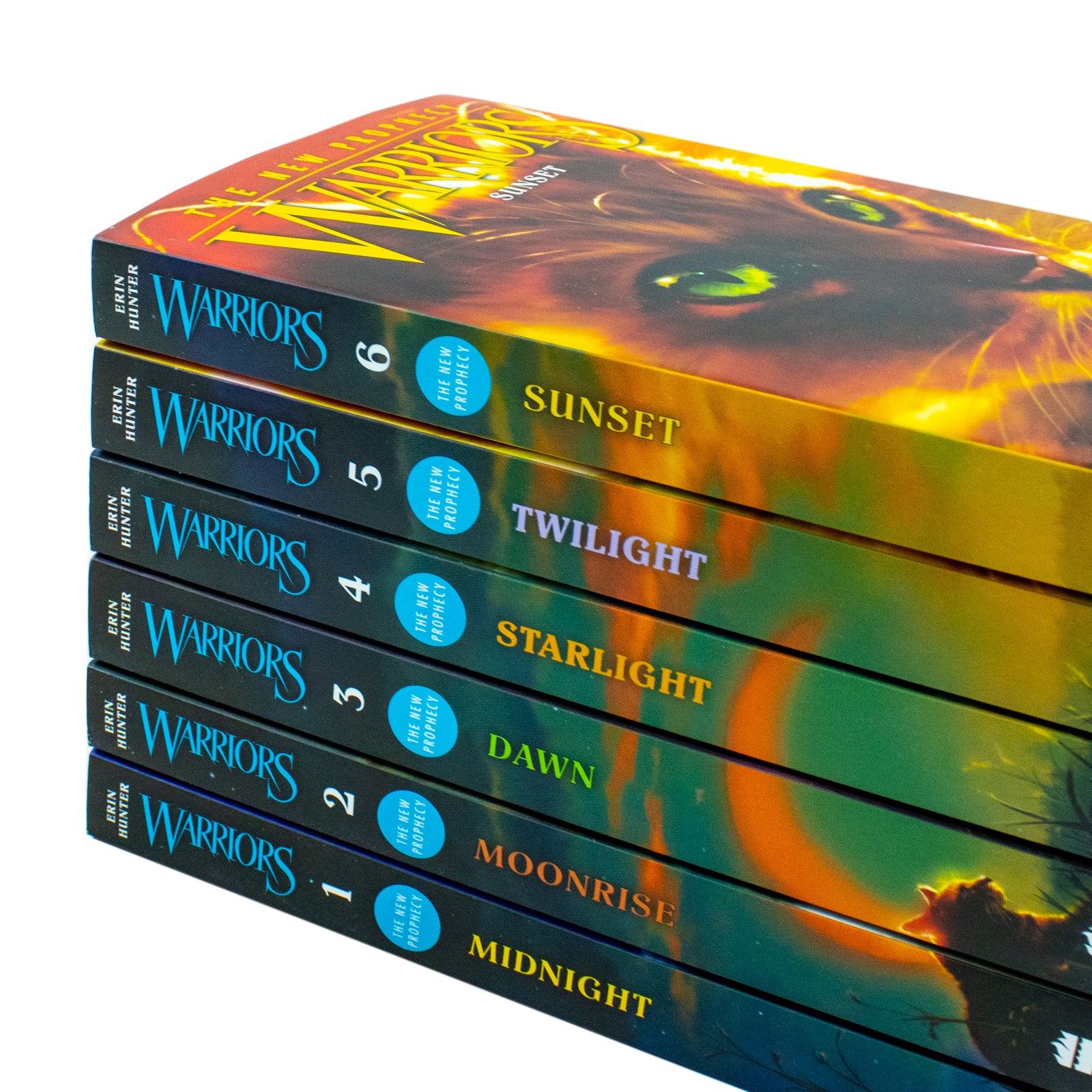 Warrior Cats Series 2 The New Prophecy Erin Hunter Paperback Set Spines