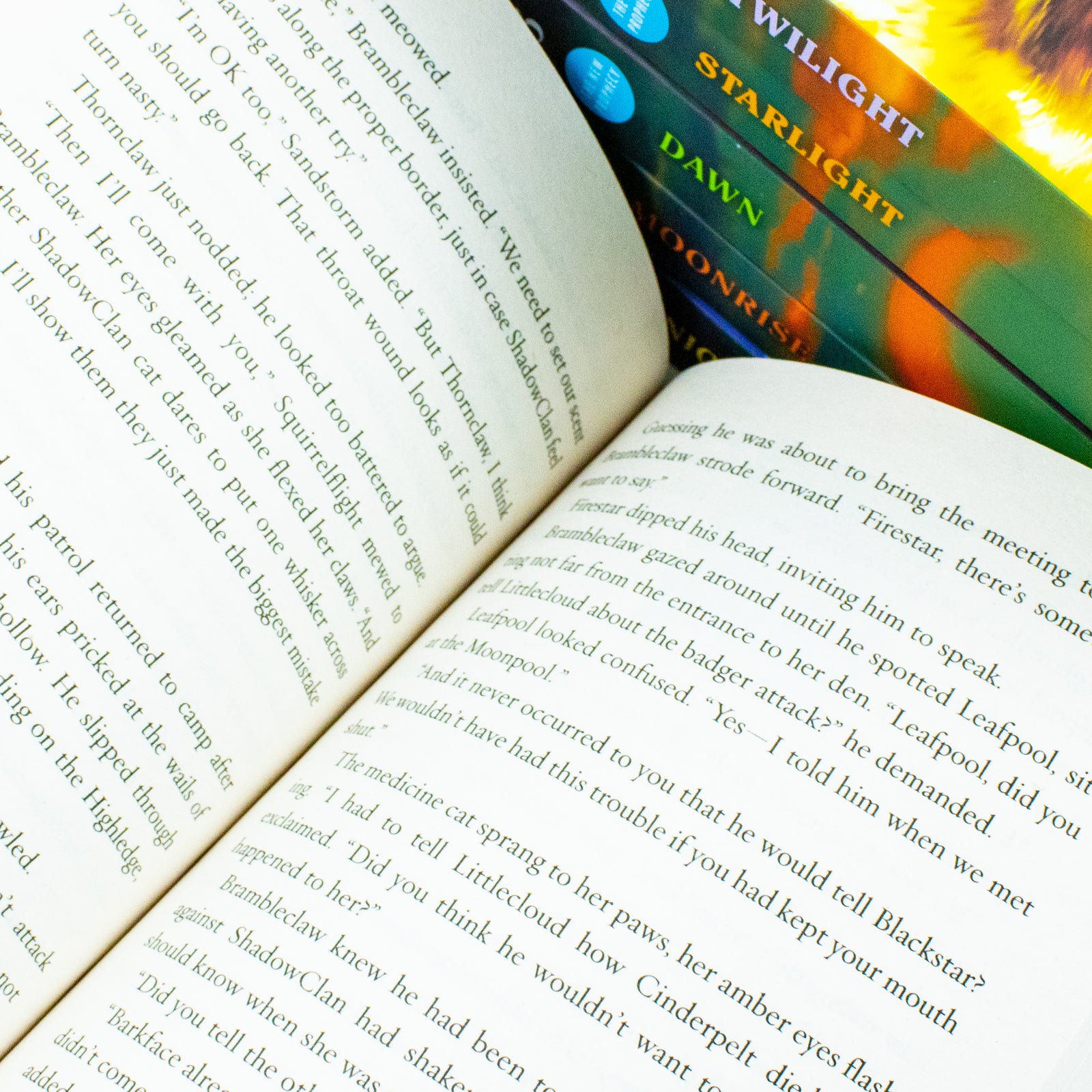 Warrior Cats Series 2 The New Prophecy Erin Hunter 6 Book Set - Back Cover Detail