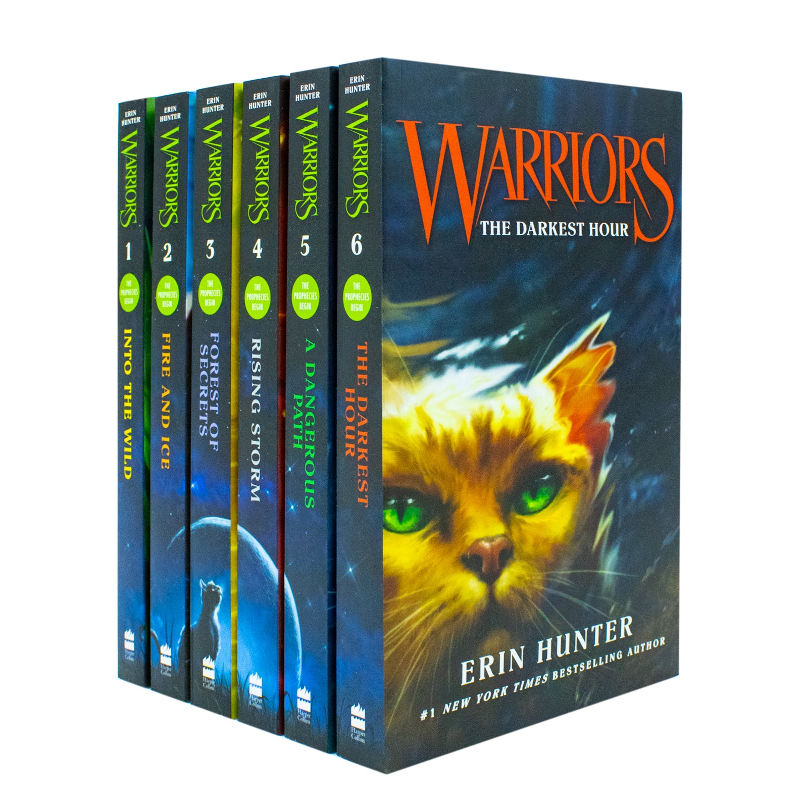 Warrior Cats Series 1: The Prophecies Begin by Erin Hunter - 6 book paperback collection set for ages 9-12
