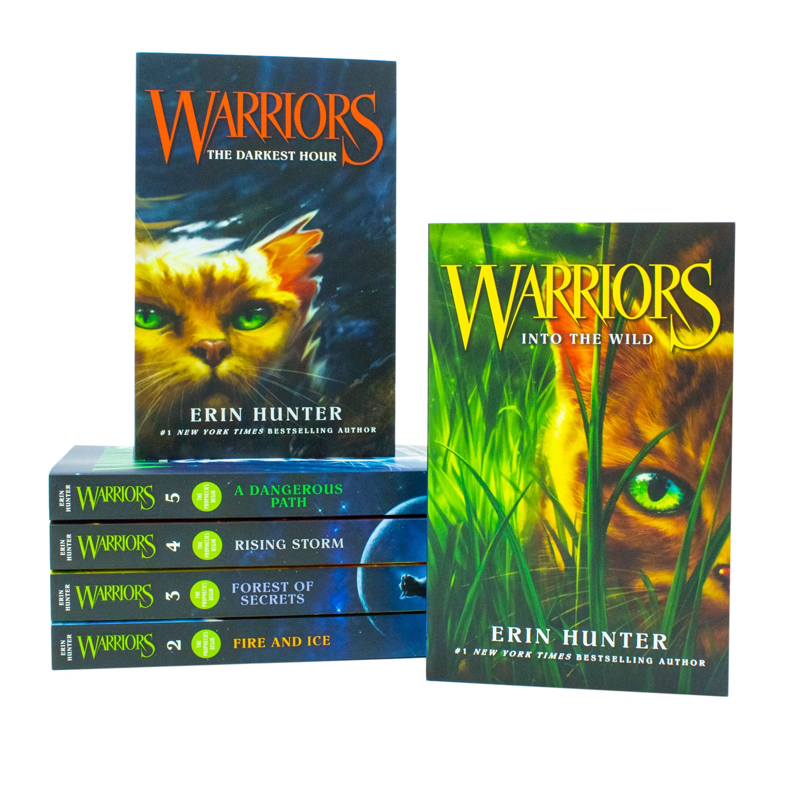 Warrior Cats Series 1: The Prophecies Begin by Erin Hunter - 6 book paperback collection set for ages 9-12