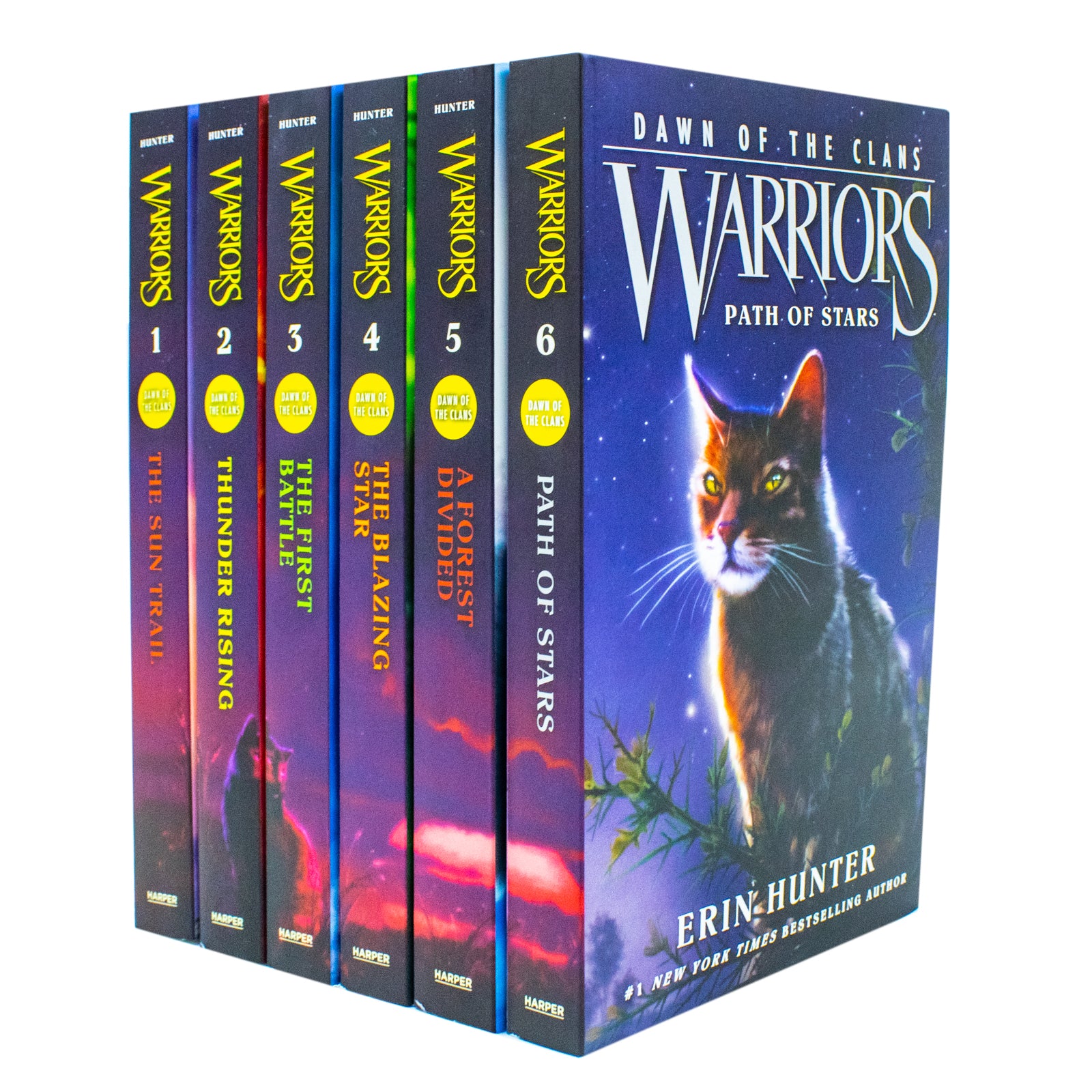 Warriors Dawn of the Clans 6 Book Collection Set by Erin Hunter - Paperback - Ages 8-12