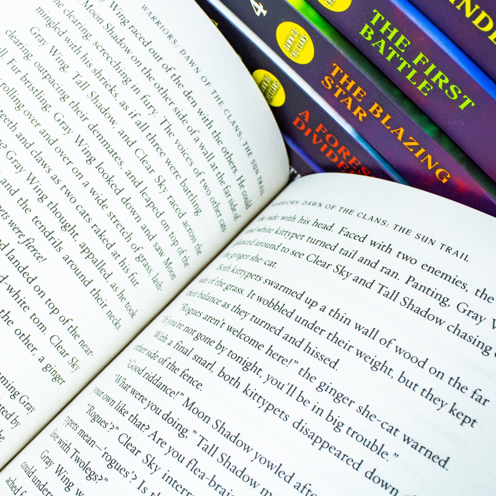 Warriors Dawn of the Clans 6 book set by Erin Hunter close up of paperback covers