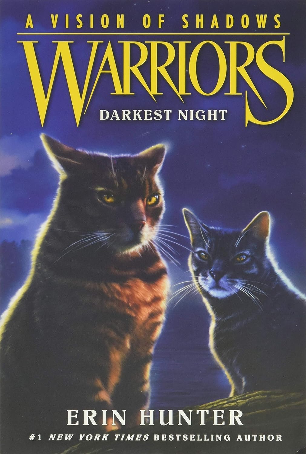 Close up of Warriors A Vision of Shadows paperback book covers by Erin Hunter