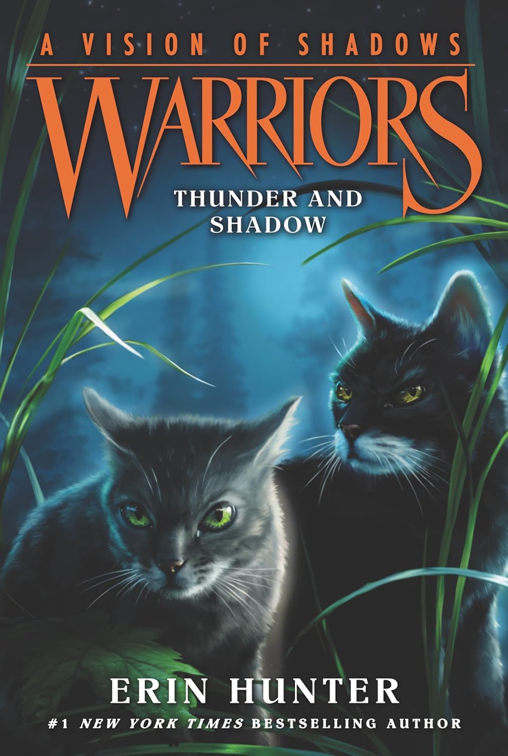 Warriors A Vision of Shadows 6 book paperback set spines by Erin Hunter