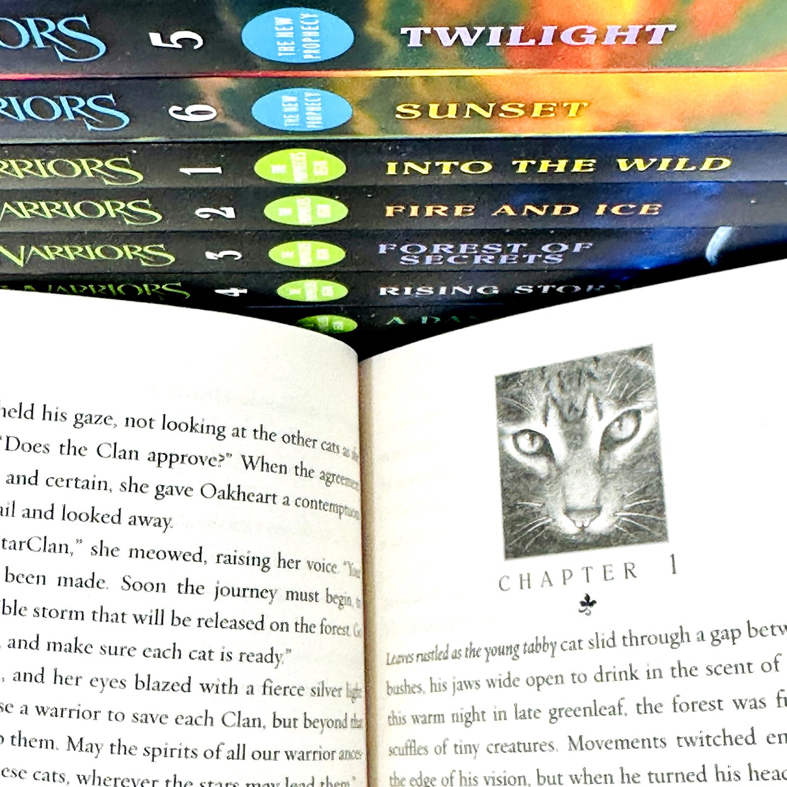 Warriors Volume 1 to 12 Books Collection Set by Erin Hunter - brand new paperback book covers for children aged 8-12