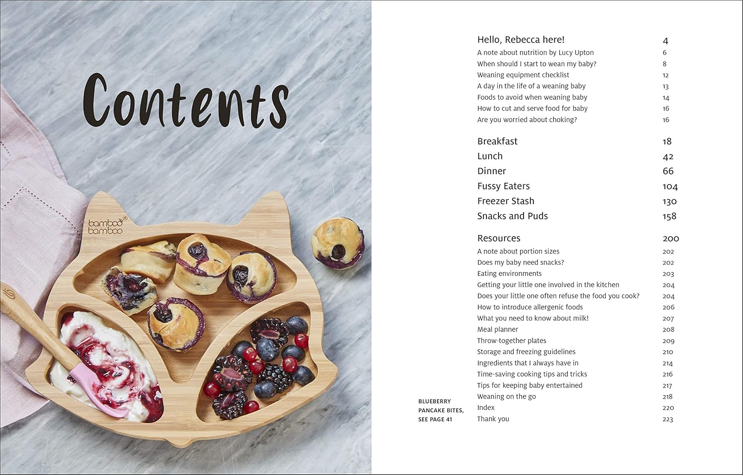 What Mummy Makes by Rebecca Wilson - adaptable baby and toddler recipe page, hardback cookbook