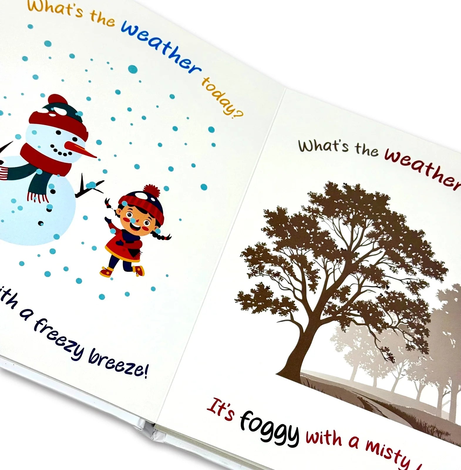Back cover of What's the Weather Today? by Rupabai board book, Rupa Publications, ages 3-5