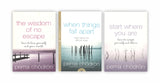 Pema Chodron 3 Books Collection Set (When Things Fall Apart & Start Where You Are) - Lets Buy Books