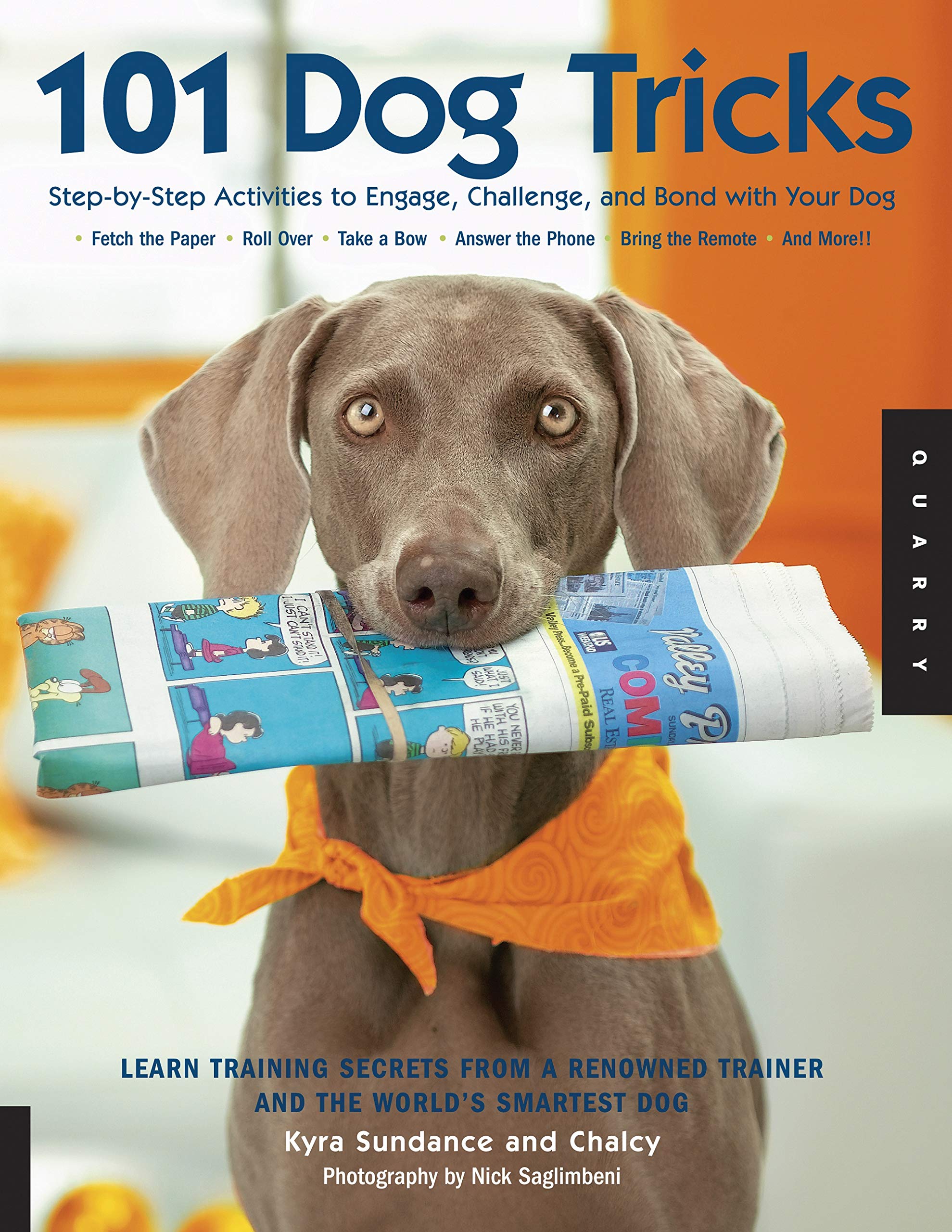 101 Dog Tricks Step by Step Activities to Engage, Challenge By Kyra Sundance Paperback - Lets Buy Books