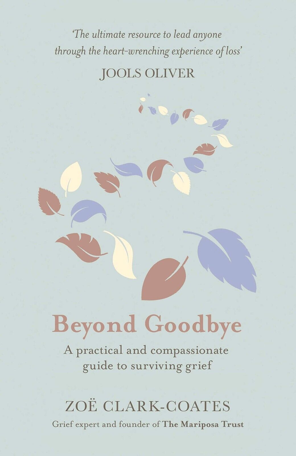 Beyond Goodbye: A Practical and Compassionate Guide to Surviving Grief by Zoë Clark-Coates - new paperback grief and bereavement support book