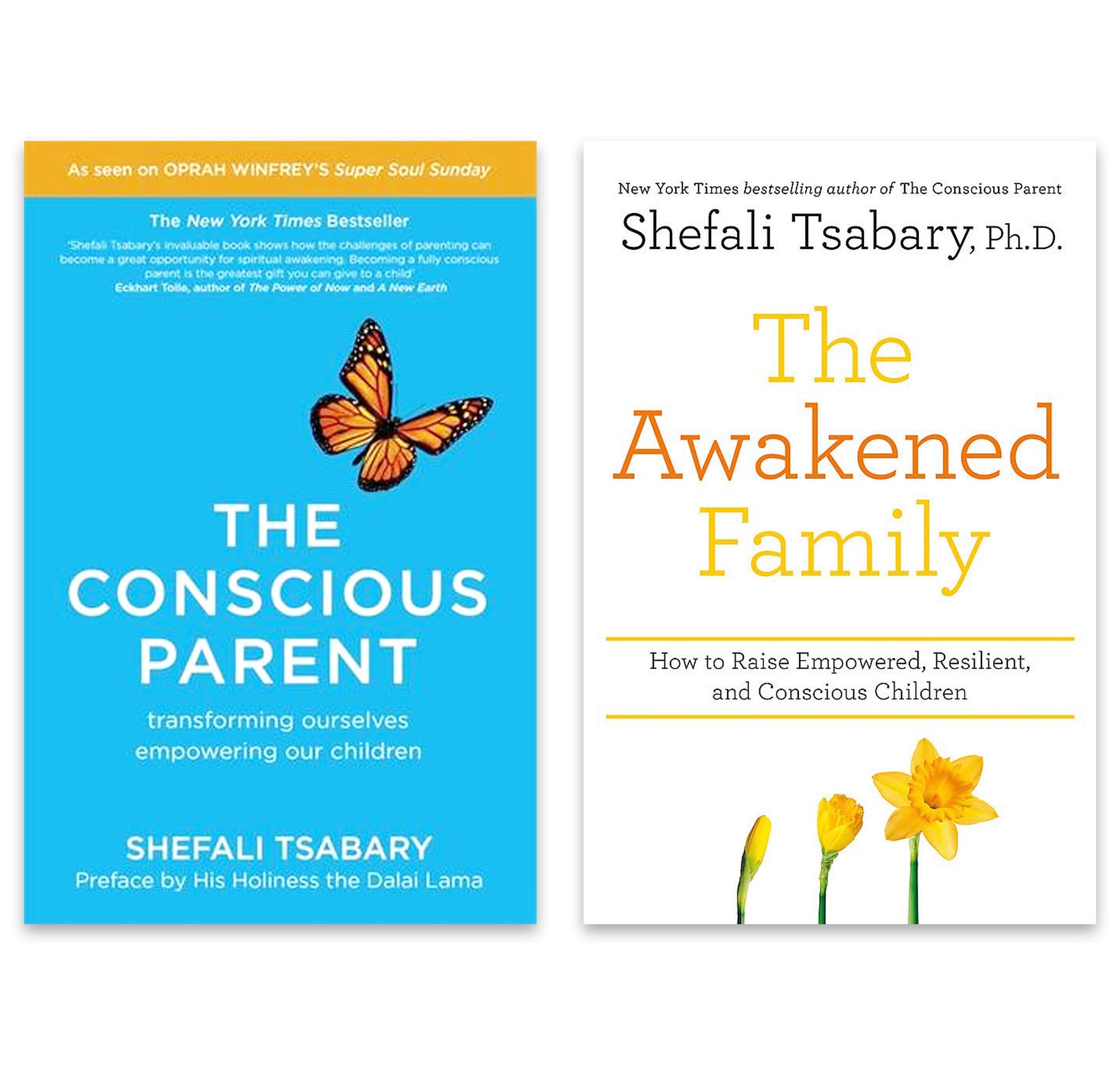 Shefali Tsabary 2 Books Collection Set - The Conscious Parent and The Awakened Family - Paperback parenting books
